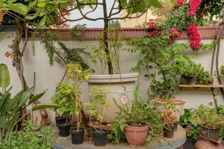 Eden Garden Villa By Jadecaps Nr Mg Road Garden Μπανγκαλόρ Εξωτερικό φωτογραφία