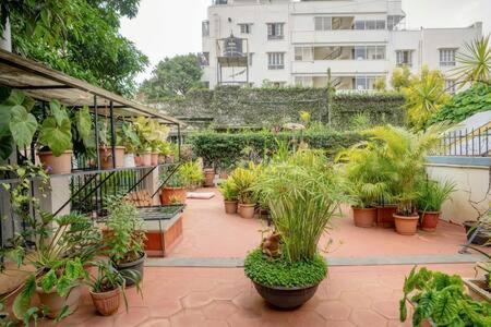 Eden Garden Villa By Jadecaps Nr Mg Road Garden Μπανγκαλόρ Εξωτερικό φωτογραφία
